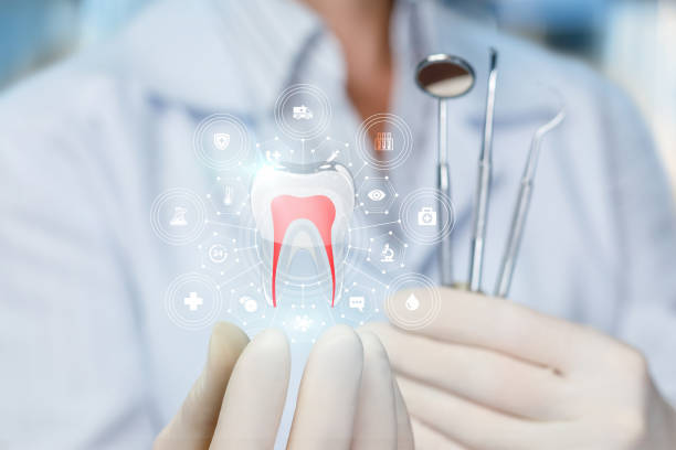 Professional Dental Services in Ladera Heights, CA